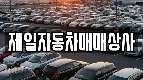 경기도 김포시 운양동 중고차 전문 제일자동차매매상사