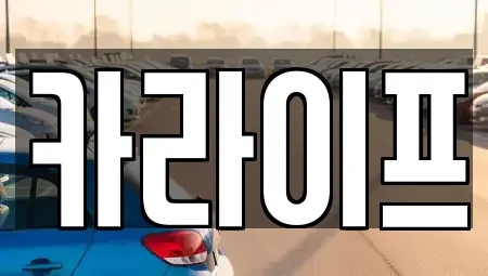경기도 김포시 운양동 중고차 전문 카라이프