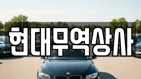 경기도 김포시 운양동 중고차 전문 현대무역상사