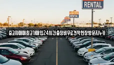 경기도 김포시 운양동 중고차매입 전문 중고차매매최고가매입24시간출장비무료견적현장방문지누카