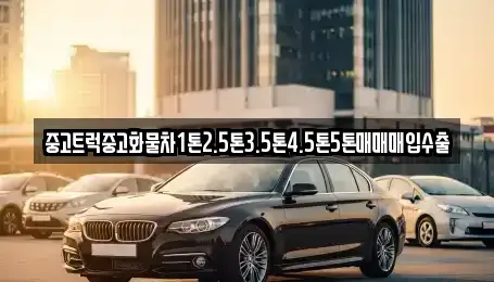 경기도 김포시 운양동 중고차매입 전문 중고트럭중고화물차1톤2.5톤3.5톤4.5톤5톤매매매입수출