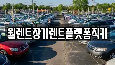 경기도 남양주시 도농동 장기렌트카 전문 월렌트장기렌트플랫폼직카