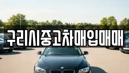 경기도 남양주시 도농동 중고차매입 전문 구리시중고차매입매매