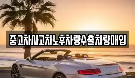 경기도 남양주시 도농동 중고차매입 전문 중고차사고차노후차량수출차량매입