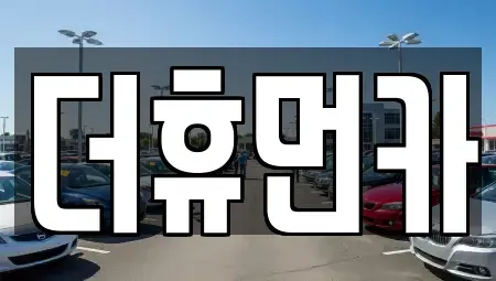 경기도 성남시 렌트카 전문 더휴먼카