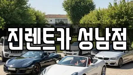 경기도 성남시 렌트카 전문 진렌트카 성남점