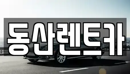 경기도 성남시 수정구 사송동 단기렌트카 전문 동산렌트카