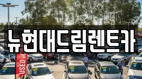 경기도 성남시 수정구 사송동 렌트카 전문 뉴현대드림렌트카