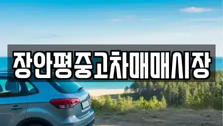 경기도 성남시 수정구 사송동 중고차매매 전문 장안평중고차매매시장
