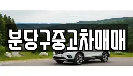 경기도 성남시 중고차 전문 분당구중고차매매