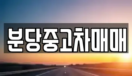 경기도 성남시 중고차 전문 분당중고차매매