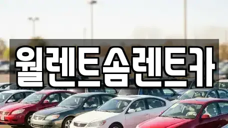 경기도 수원시 팔달구 매향동 렌트카 전문 월렌트솜렌트카