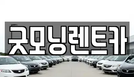 경기도 수원시 팔달구 팔달로3가 렌트카 전문 굿모닝렌트카