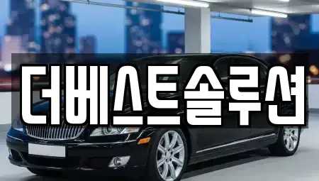 경기도 수원시 팔달구 팔달로3가 장기렌트카 전문 더베스트솔루션