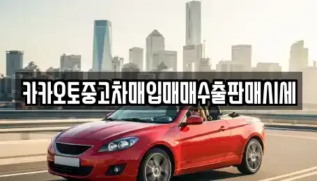 경기도 시흥시 도창동 중고차 전문 카카오토중고차매입매매수출판매시세