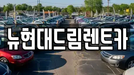 경기도 시흥시 하상동 렌트카 전문 뉴현대드림렌트카