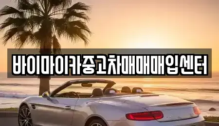 경기도 시흥시 하상동 중고차 전문 바이마이카중고차매매매입센터