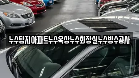 경기도 시흥시 하상동 중고차매입 전문 누수탐지아파트누수옥상누수화장실누수방수공사