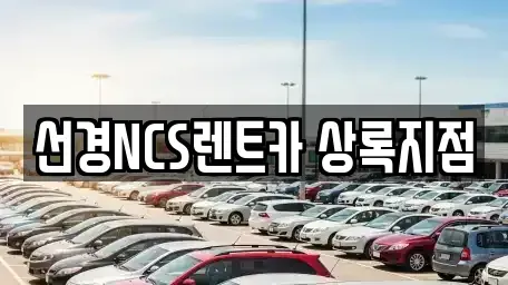 경기도 안산시 단기렌트카 전문 선경NCS렌트카 상록지점