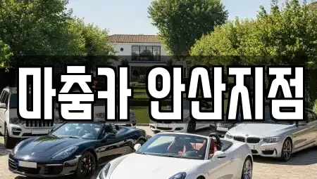 경기도 안산시 단원구 성곡동 렌트카 전문 마춤카 안산지점