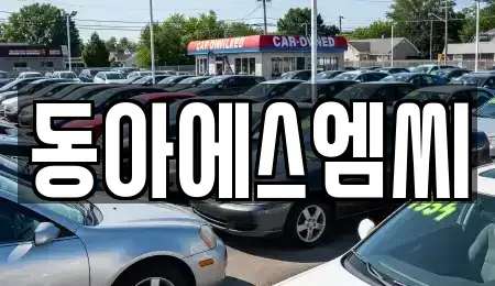 경기도 안산시 단원구 성곡동 중고차 전문 동아에스엠씨