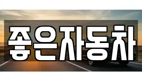 경기도 안산시 단원구 성곡동 중고차 전문 좋은자동차