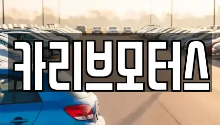 경기도 안산시 단원구 성곡동 중고차 전문 카리브모터스