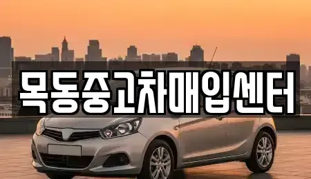 경기도 안산시 단원구 성곡동 중고차매입 전문 목동중고차매입센터