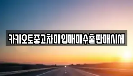 경기도 안산시 단원구 성곡동 중고차매입 전문 카카오토중고차매입매매수출판매시세