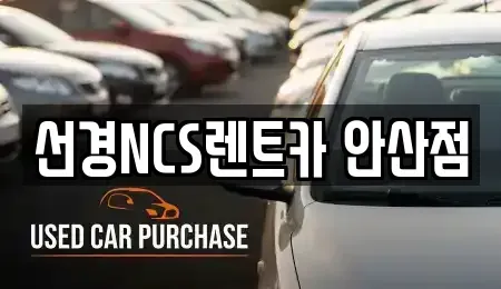 경기도 안산시 렌트카 전문 선경NCS렌트카 안산점