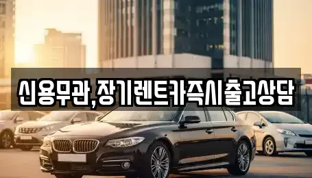 경기도 안산시 장기렌트카 전문 신용무관,장기렌트카즉시출고상담