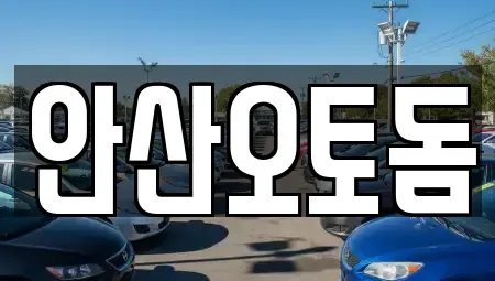 경기도 안산시 중고차매매 전문 안산오토돔