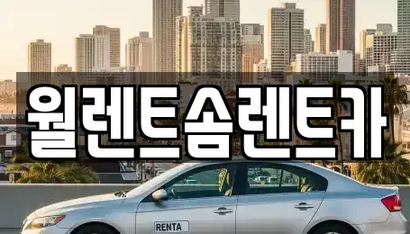 경기도 안성시 금석동 렌트카 전문 월렌트솜렌트카
