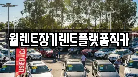 경기도 안성시 금석동 렌트카 전문 월렌트장기렌트플랫폼직카