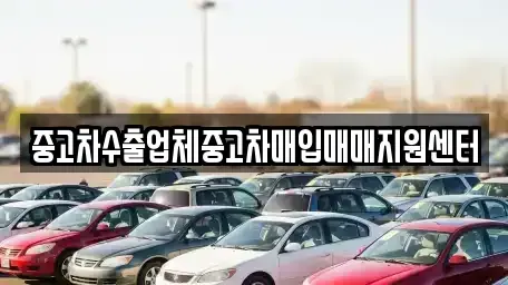 경기도 안성시 금석동 중고차매매 전문 중고차수출업체중고차매입매매지원센터