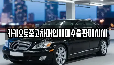 경기도 안성시 금석동 중고차매입 전문 카카오토중고차매입매매수출판매시세