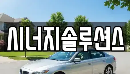경기도 안성시 삼죽면 렌트카 전문 시너지솔루션스