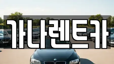 경기도 안성시 석정동 렌트카 전문 가나렌트카