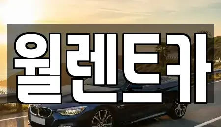 경기도 안성시 석정동 렌트카 전문 월렌트카