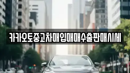 경기도 안성시 창전동 중고차 전문 카카오토중고차매입매매수출판매시세
