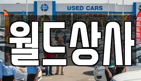 경기도 안성시 창전동 중고차매매 전문 월드상사