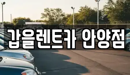 경기도 안양시 동안구 평촌동 렌트카 전문 갑을렌트카 안양점
