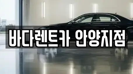 경기도 안양시 동안구 평촌동 장기렌트카 전문 바다렌트카 안양지점