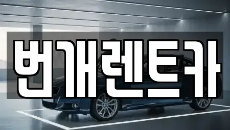 경기도 안양시 동안구 평촌동 장기렌트카 전문 번개렌트카