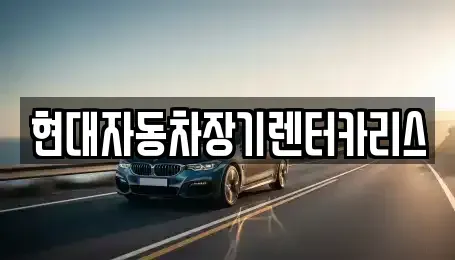 경기도 안양시 동안구 평촌동 장기렌트카 전문 현대자동차장기렌터카리스