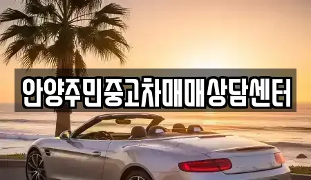 경기도 안양시 동안구 평촌동 중고차매매,단기렌트카,중고차매입,장기렌트카,중고차,렌트카