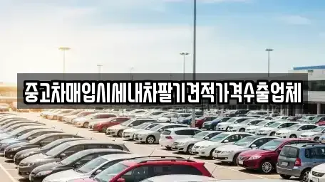 경기도 안양시 동안구 평촌동 중고차매매 전문 중고차매입시세내차팔기견적가격수출업체