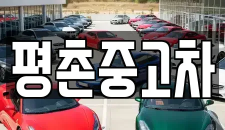 경기도 안양시 동안구 평촌동 중고차매매 전문 평촌중고차
