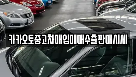 경기도 안양시 동안구 평촌동 중고차매입 전문 카카오토중고차매입매매수출판매시세
