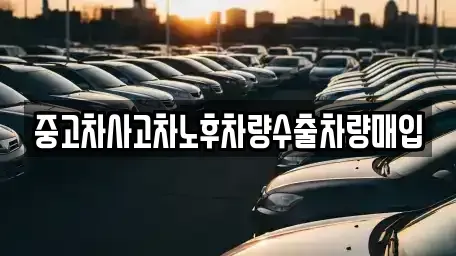 경기도 양주시 덕정동 중고차매매 전문 중고차사고차노후차량수출차량매입